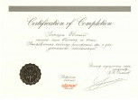 Галерея - Сертификат Осстем Лапшин Е. И.