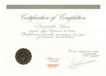 Галерея - Сертификат Осстем Хрипункова И. Ю.